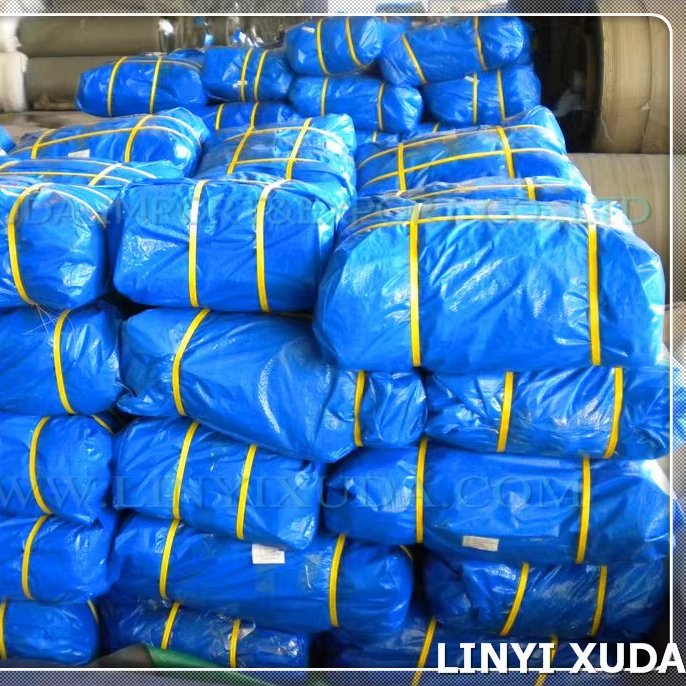 2kg 4*5m 4*6m Custom Logo Swimming Boating Dry Blue White Bag Beach Accessories Outdoor Waterproof Pe Tarpaulin to Congo
